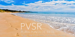 PVSR - Punta Vista Signature Residence - Playa Punta de Mita real estate and vacation rentals